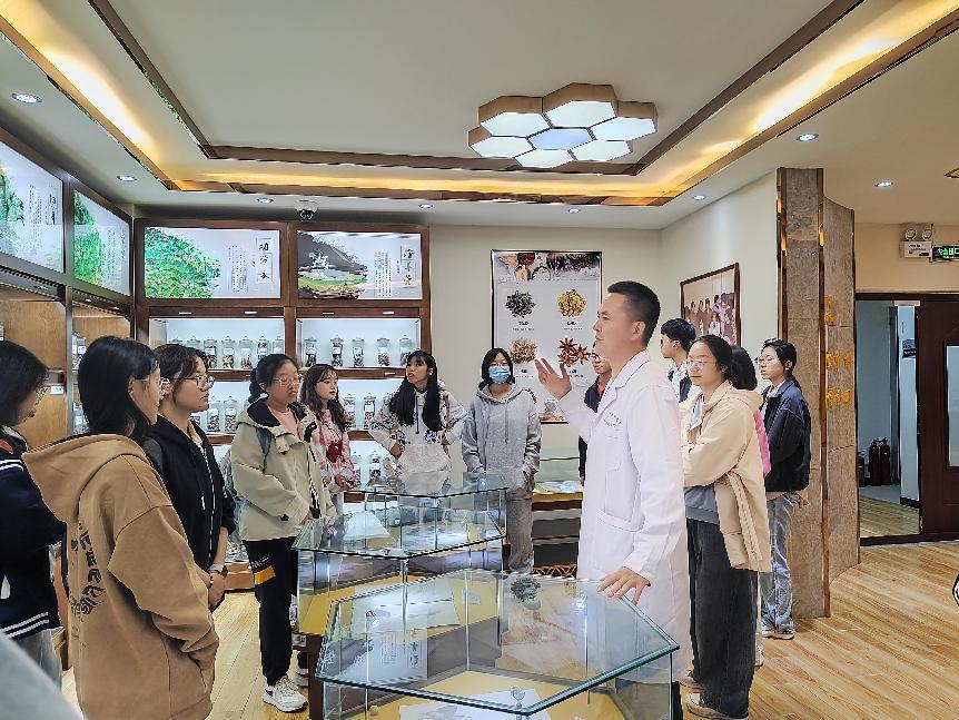 中药学院13